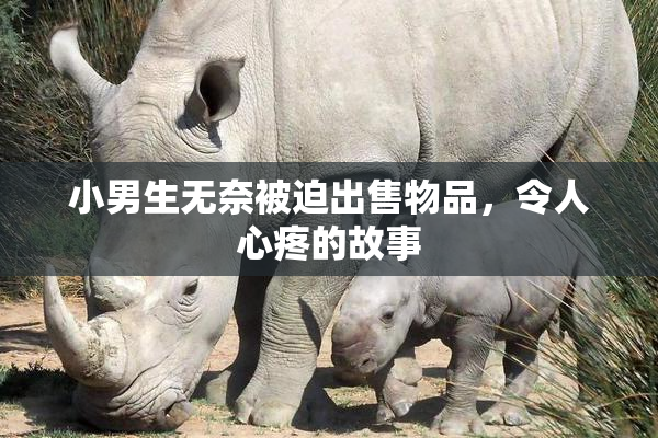 小男生无奈被迫出售物品，令人心疼的故事