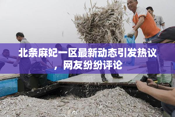 北条麻妃一区最新动态引发热议，网友纷纷评论