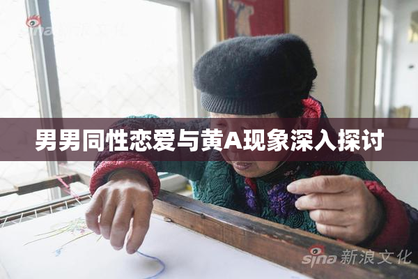 男男同性恋爱与黄A现象深入探讨
