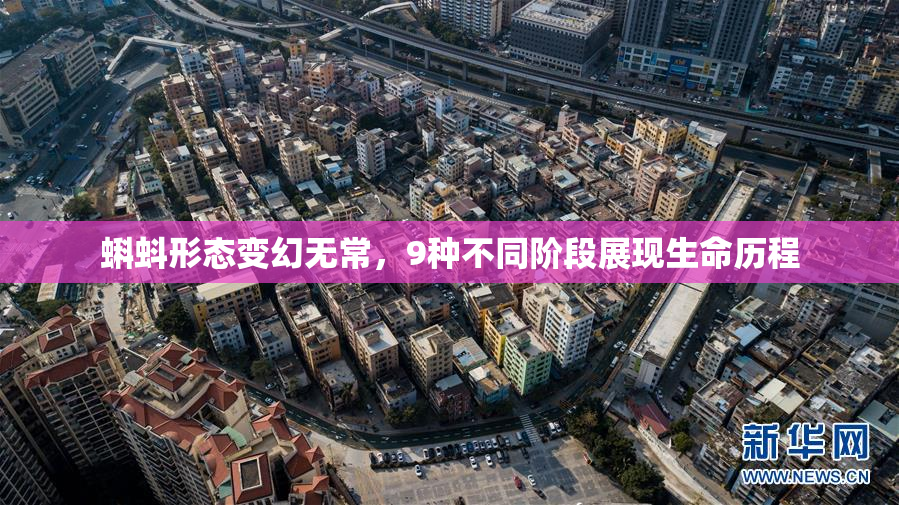 蝌蚪形态变幻无常，9种不同阶段展现生命历程