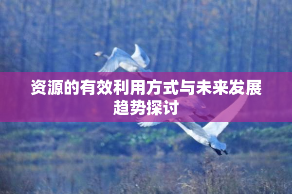 资源的有效利用方式与未来发展趋势探讨