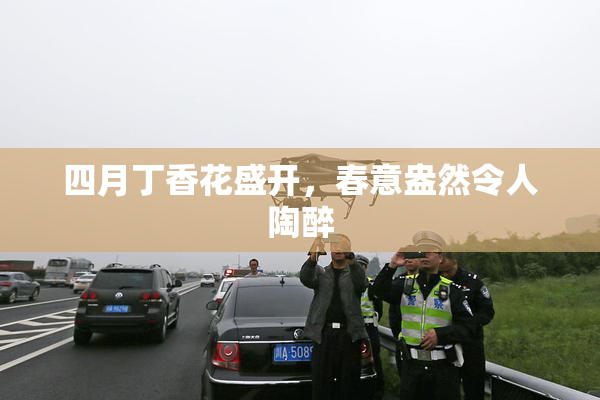 四月丁香花盛开，春意盎然令人陶醉