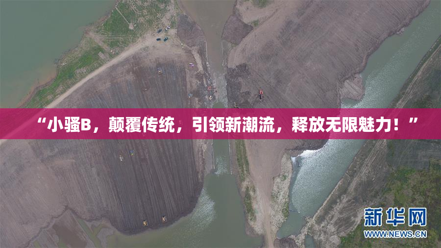 “小骚B，颠覆传统，引领新潮流，释放无限魅力！”