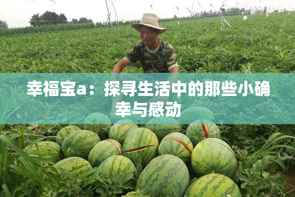 幸福宝a：探寻生活中的那些小确幸与感动