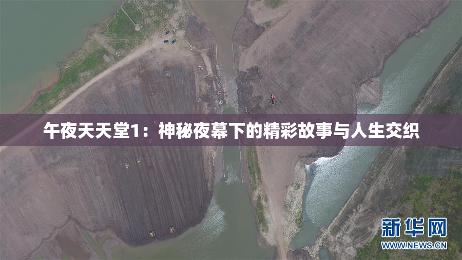 午夜天天堂1：神秘夜幕下的精彩故事与人生交织