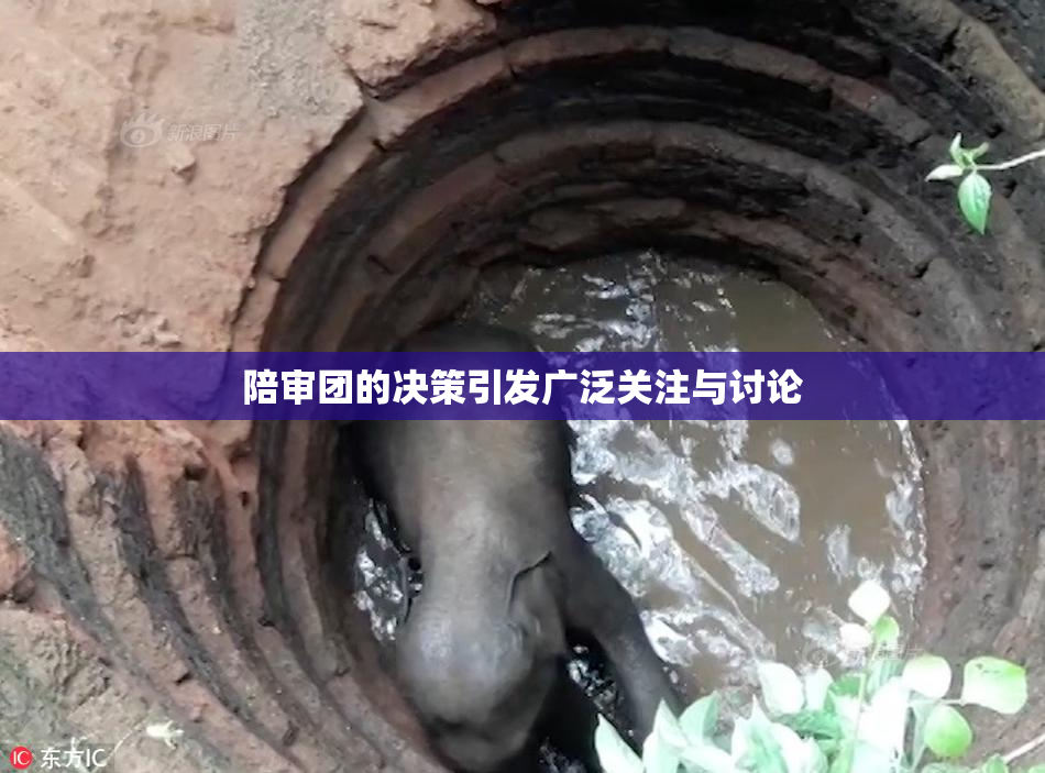 陪审团的决策引发广泛关注与讨论
