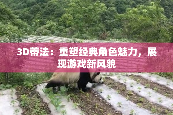3D蒂法：重塑经典角色魅力，展现游戏新风貌