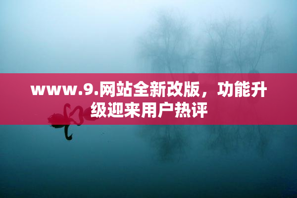 www.9.网站全新改版，功能升级迎来用户热评