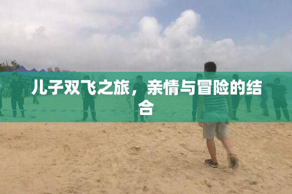儿子双飞之旅，亲情与冒险的结合