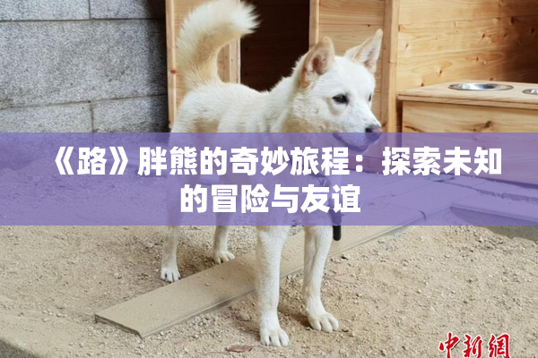 《路》胖熊的奇妙旅程：探索未知的冒险与友谊
