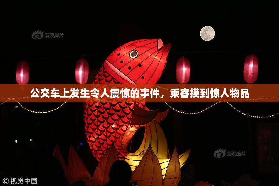 公交车上发生令人震惊的事件，乘客摸到惊人物品