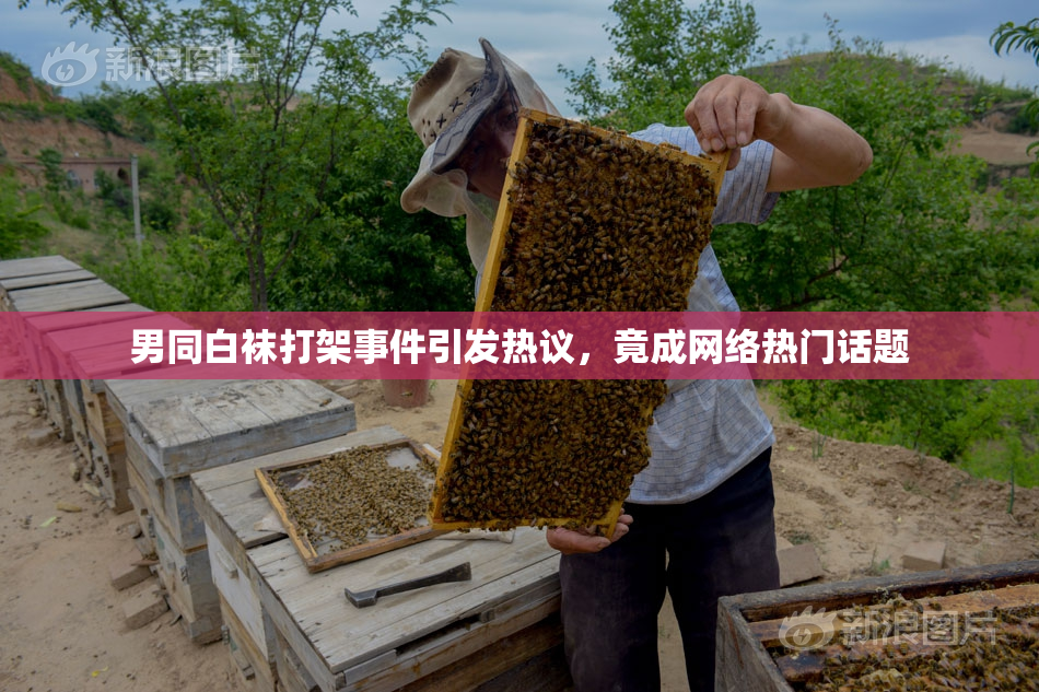 男同白袜打架事件引发热议，竟成网络热门话题