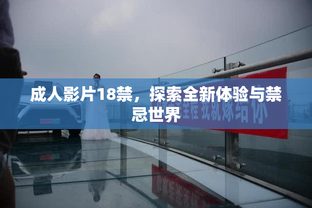 成人影片18禁，探索全新体验与禁忌世界