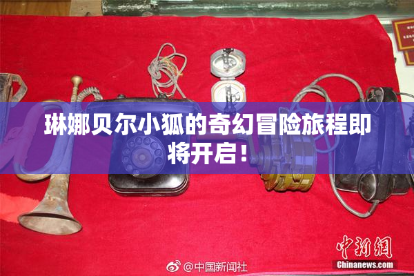 琳娜贝尔小狐的奇幻冒险旅程即将开启！
