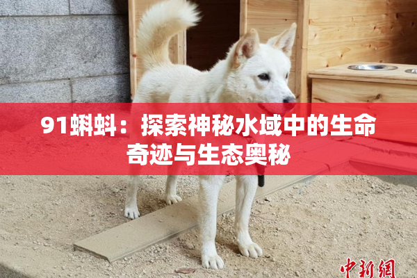 91蝌蚪：探索神秘水域中的生命奇迹与生态奥秘