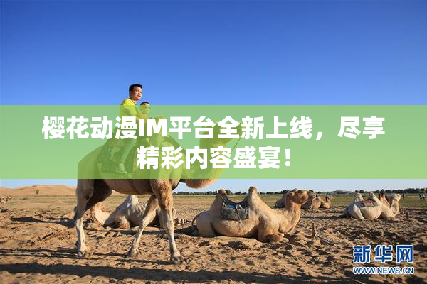 樱花动漫IM平台全新上线，尽享精彩内容盛宴！