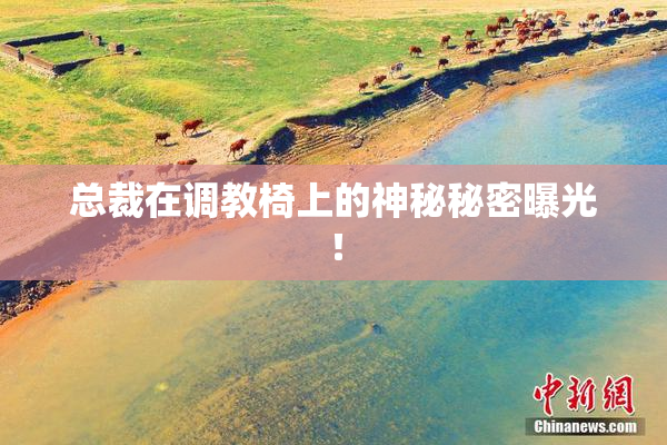 总裁在调教椅上的神秘秘密曝光！
