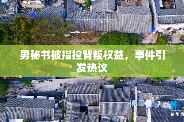 男秘书被指控背叛权益，事件引发热议