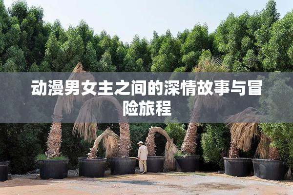 动漫男女主之间的深情故事与冒险旅程