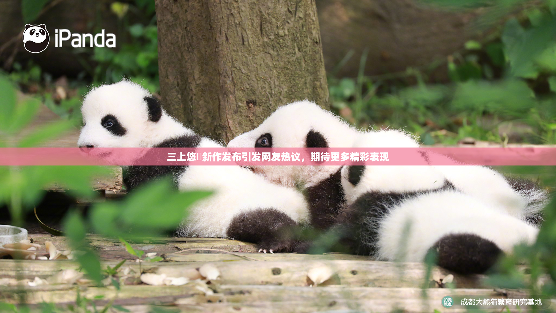三上悠亜新作发布引发网友热议，期待更多精彩表现