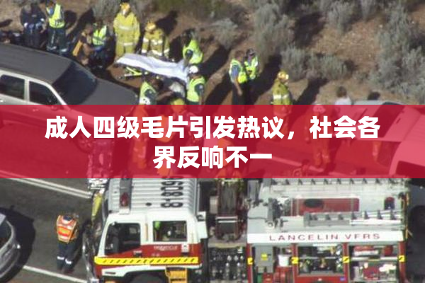 成人四级毛片引发热议，社会各界反响不一
