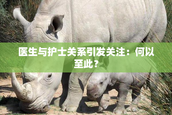 医生与护士关系引发关注：何以至此？