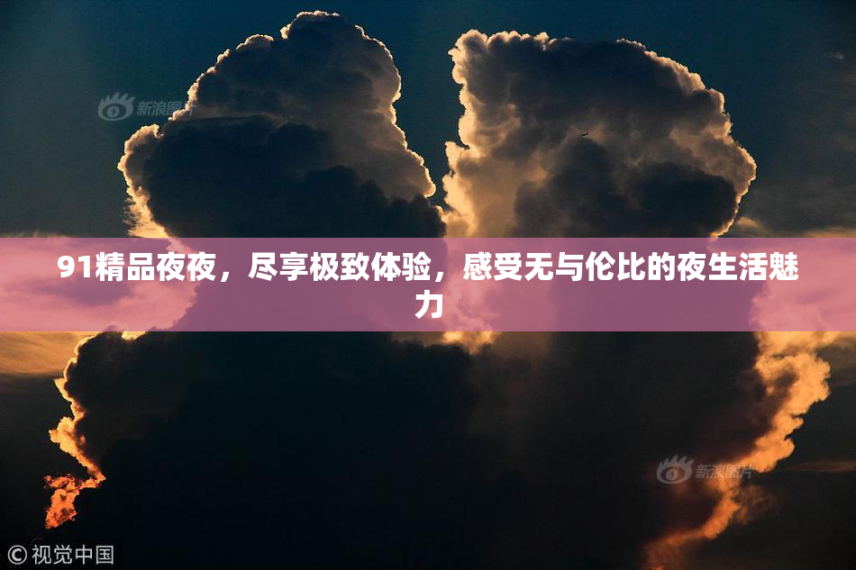 91精品夜夜，尽享极致体验，感受无与伦比的夜生活魅力