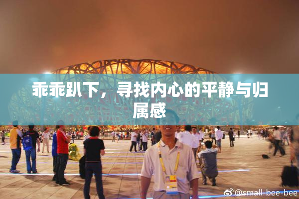 乖乖趴下，寻找内心的平静与归属感