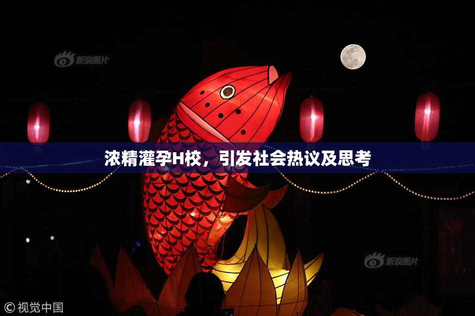 浓精灌孕H校，引发社会热议及思考