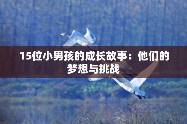 15位小男孩的成长故事：他们的梦想与挑战