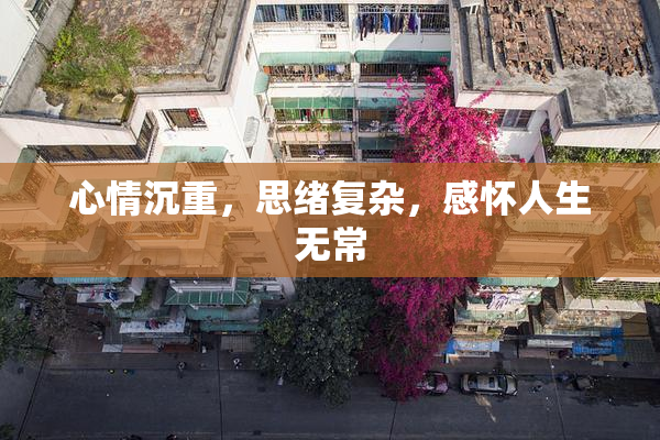 心情沉重，思绪复杂，感怀人生无常
