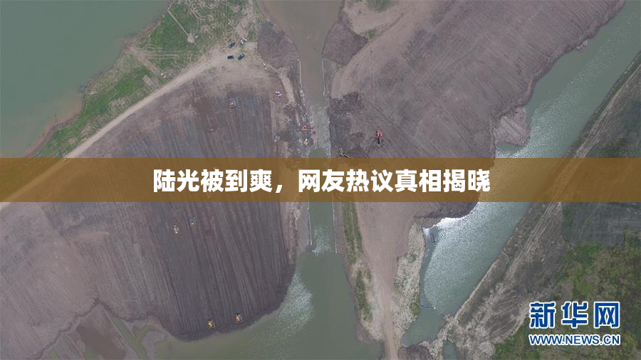 陆光被到爽，网友热议真相揭晓