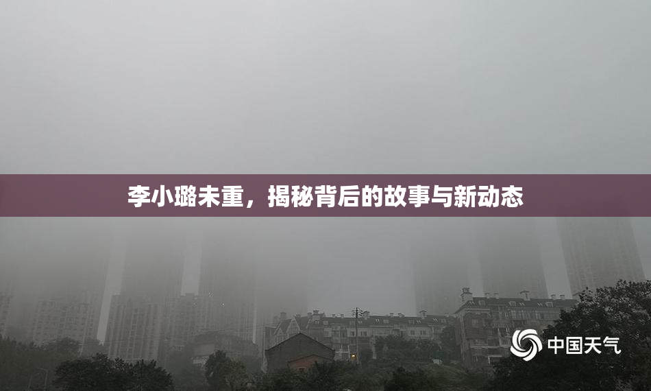 李小璐未重，揭秘背后的故事与新动态