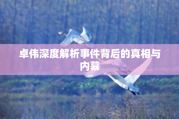 卓伟深度解析事件背后的真相与内幕