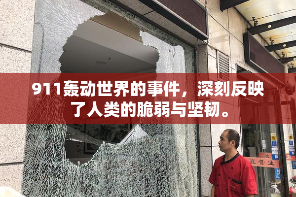 911轰动世界的事件，深刻反映了人类的脆弱与坚韧。