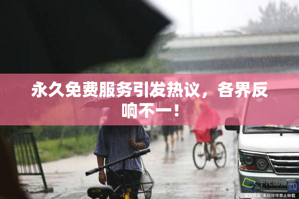 永久免费服务引发热议，各界反响不一！