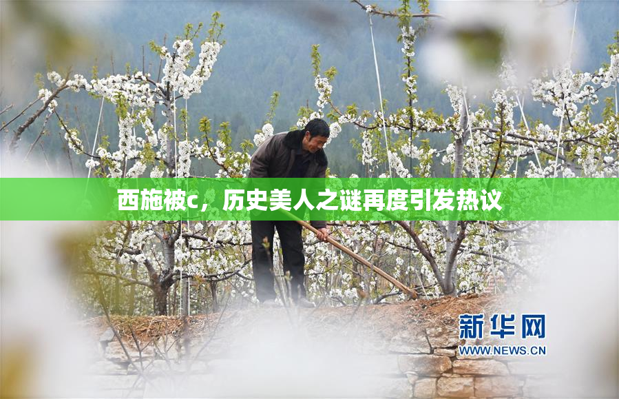 西施被c，历史美人之谜再度引发热议