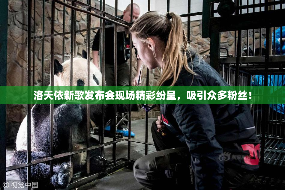 洛天依新歌发布会现场精彩纷呈，吸引众多粉丝！