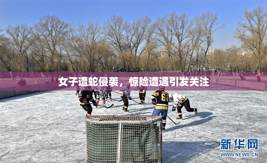 女子遭蛇侵袭，惊险遭遇引发关注