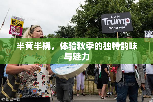 半黄半挠，体验秋季的独特韵味与魅力