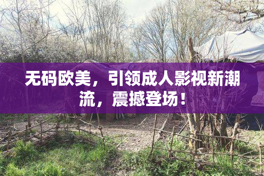 无码欧美，引领成人影视新潮流，震撼登场！