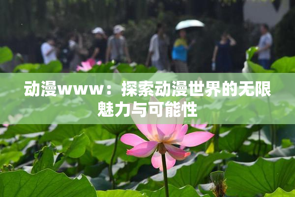 动漫www：探索动漫世界的无限魅力与可能性