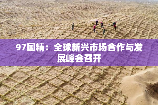 97国精：全球新兴市场合作与发展峰会召开