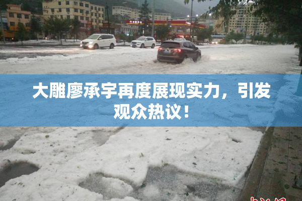 大雕廖承宇再度展现实力，引发观众热议！