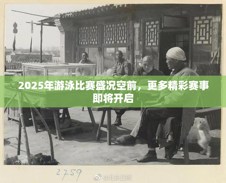 2025年游泳比赛盛况空前，更多精彩赛事即将开启