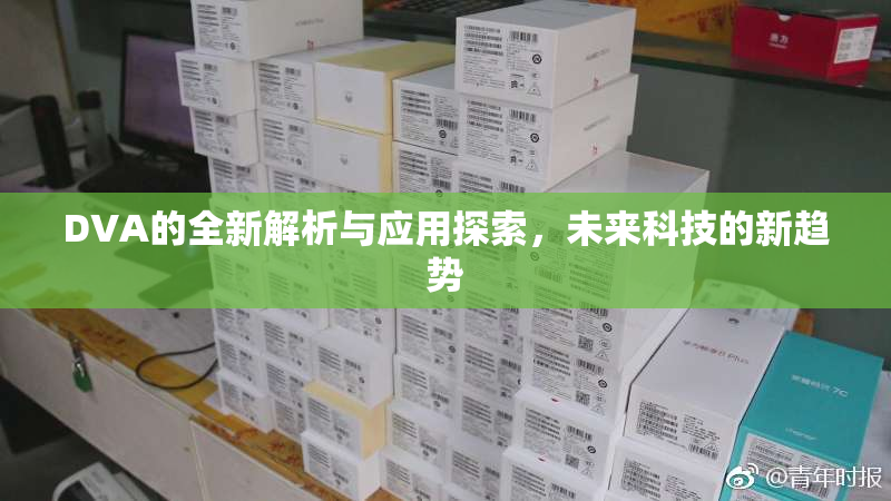 DVA的全新解析与应用探索，未来科技的新趋势