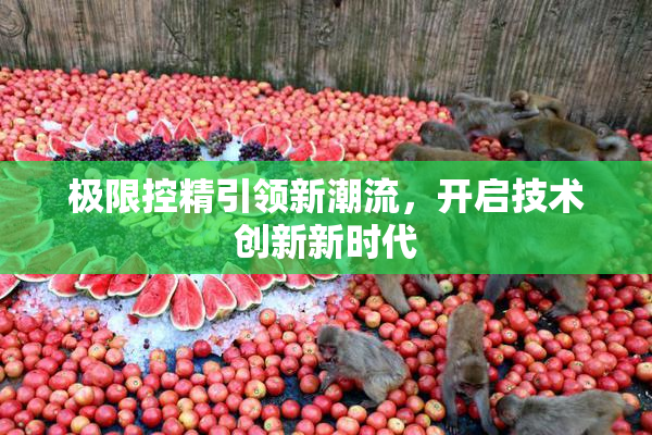 极限控精引领新潮流，开启技术创新新时代