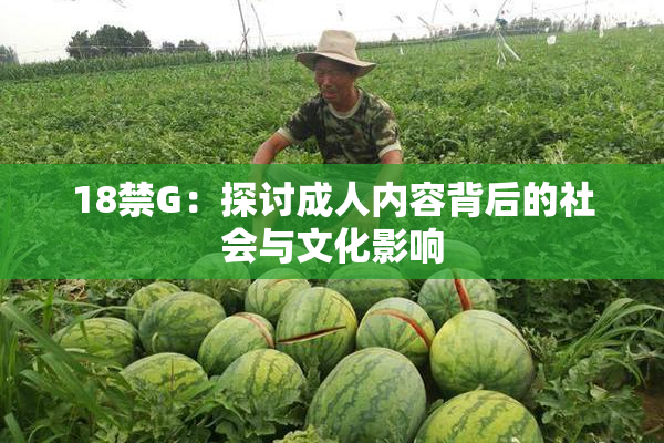 18禁G：探讨成人内容背后的社会与文化影响