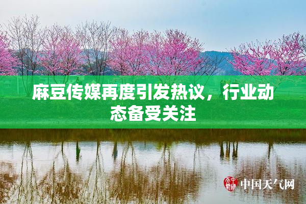 麻豆传媒再度引发热议，行业动态备受关注