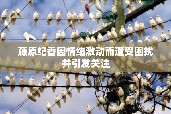 藤原纪香因情绪激动而遭受困扰并引发关注